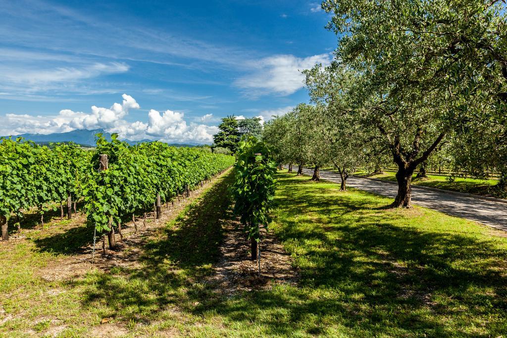Quercia Belvedere Relais Bardolino Exterior photo
